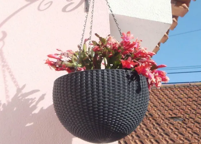 Ferienhaus Campo De Oleandros Lourinhã