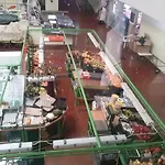 Campo De Oleandros بيت للعطل لورينها