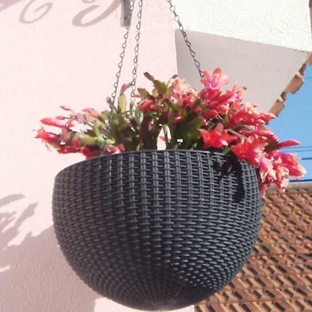 Hébergement de vacances Campo De Oleandros Lourinhã