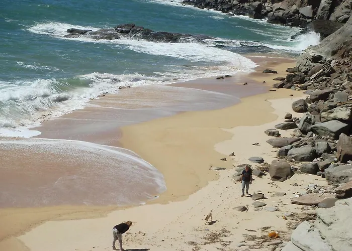 Campo De Oleandros 펜션 로리냐