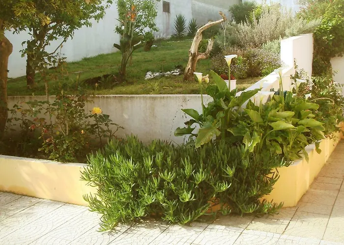 Campo De Oleandros *